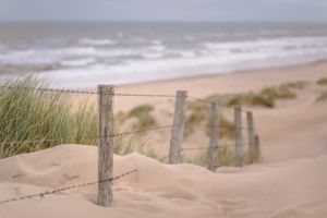 beach-4530127_1920 beach-4530127_1920